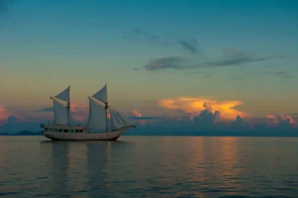 Alexa-Private-Cruise-8