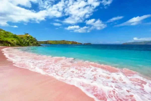 La-Galigo-Liveaboard-Pink-Beach