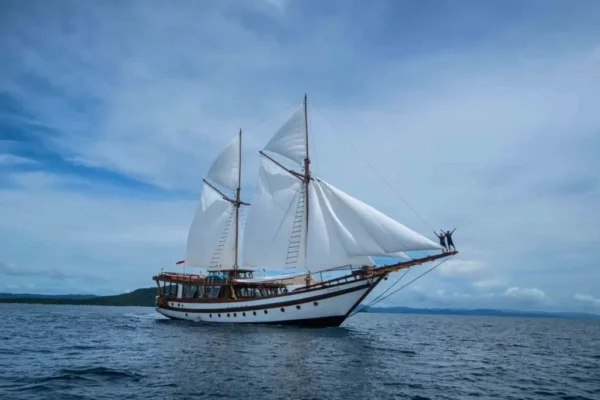 Majik-Cruise-24