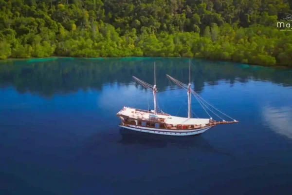 Majik-Cruise-3-2