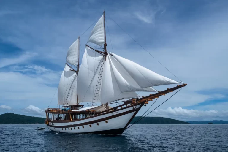 Majik Cruise